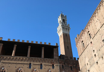 Fototapeta premium Famous tower of the city of Siena called DEL MANGIA seen from behind the square