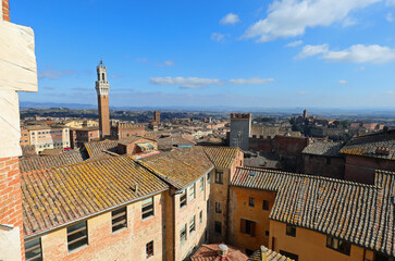 Fototapeta premium tower of the city of Siena called DEL MANGIA seen from above of the roofs of the Italian city
