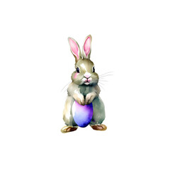 Easter bunny with easter eggs, Easter fest watercolor illustration, transparent background, png