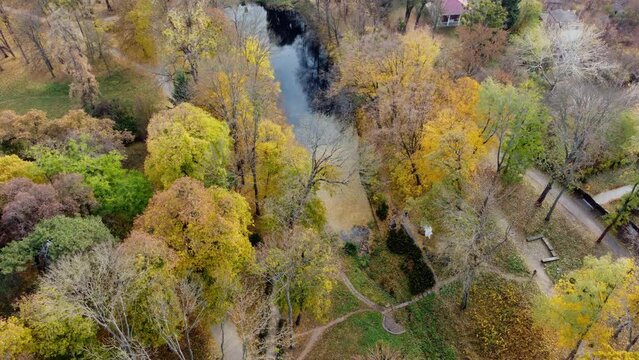 Many trees with yellow fallen leaves, lakes, people walking dirt paths in park on autumn day. Flying over autumn park. Aerial drone view. Beautiful natural background. Top view.