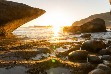 Camara de fotos captando una increible y bonita fotografia de paisaje en un paraje natural de la...