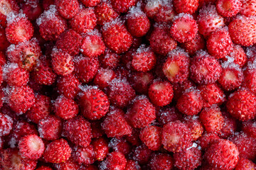Background from the frozen red wild strawberry, closeup, top view. Food background. Healthy food