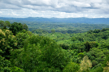 Fototapeta na wymiar Green trees on top of the hill in Bandarban, Bangladesh. Sky, horizon, mountain forest in mountain day stock photo. Mountain landscape with trees on the hill with crazy blue sky at high noon. 