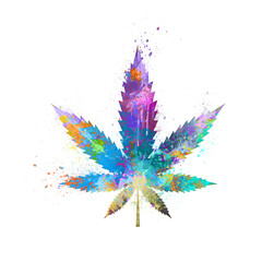 Watercolor Abstract weed leaf, Colorful cannabis Illustration, marijuana leaf Drawing, pot, ganja, Cannabis, colorful weed, marijuana - obrazy, fototapety, plakaty