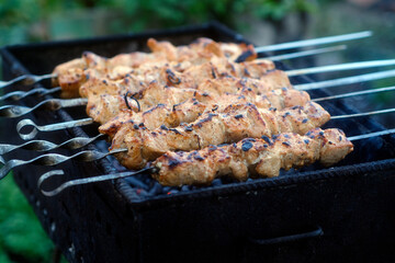 Delicious meat skewers on brazier during picnic