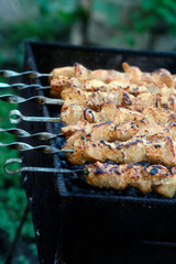 Delicious meat skewers on brazier during picnic