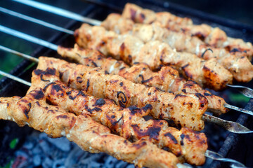 Delicious meat skewers on brazier during picnic