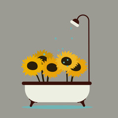 Sunflowers Grow up in the Bathroom and Shower