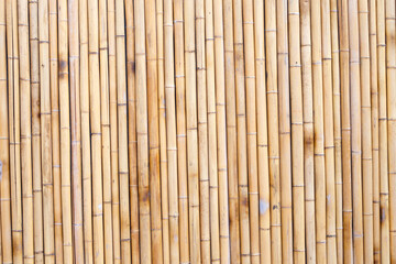 Yellow bamboo texture. Dried bamboo wall or fence background