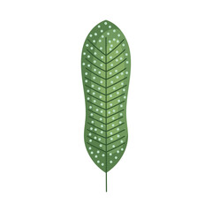 dotted leaf plant foliage