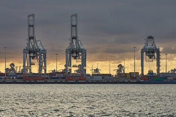 Fototapeta na wymiar Container Dock in Rotterdam