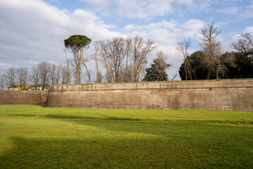 Lucca le mura - obrazy, fototapety, plakaty