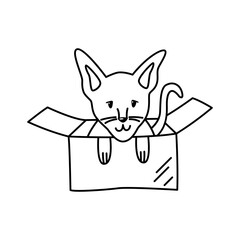 Little sphynx cat in a cardboard box. Linear doodle illustration of a pet. Cute design element for animal shelters.