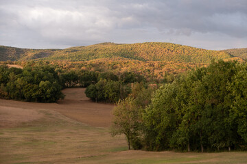 Sunset over Field