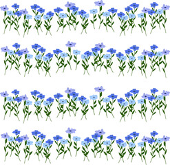 Fototapeta na wymiar Floral decor. periwinkle flower. Vinca minor. Wild blue flowers on a white background. flower vector illustration. Fritillaria. Medical plants.