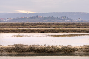 Winter panoramic view of marine pools in Secovlje salt pan, Slovenia 