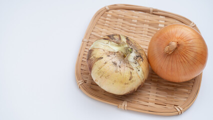 新玉ねぎと普通の玉ねぎの比較　イメージ