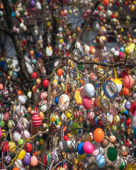 Hungarian easter eggs on trees in spring