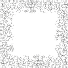 Vector square frame, from outline Narcissist. Hand drawn doodle isolated. Background, border, decoration for greeting card, invitation. First spring flowers frame