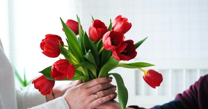International Womens Day. Close-up of female and male hands holding a bouquet of red tulips.