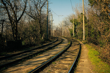 Fototapeta na wymiar railway in the woods