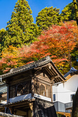 日本　愛知県豊田市足助町の香嵐渓にある香積寺の紅葉