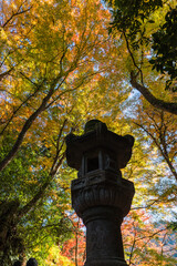 日本　愛知県豊田市足助町の香嵐渓の紅葉と香積寺の灯籠