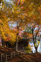 日本　愛知県豊田市足助町の香嵐渓の紅葉と太子堂