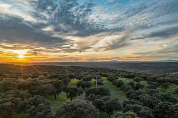 Fototapeta na wymiar Aerial drone view of autumn landscape at sunset in northern Extremadura, Spain, with road, trees, plants and rocks.