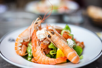Norwegian salad, shrimp allergies concept