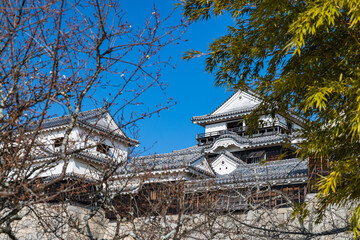 日本　愛媛県松山市の松山城の天守閣
