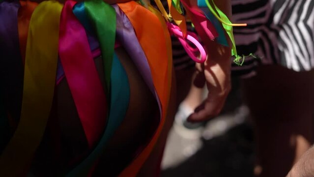 Dan&ccedil;arina carnaval do Rio de Janeiro