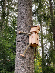 Birdhouse on a tree trunk
