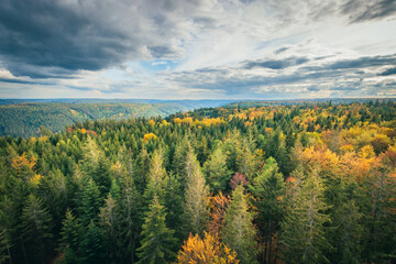 Scenic view over Black Forest, Germany