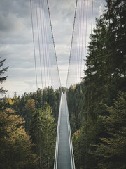 Wildline suspension bridge in Bad Wildbad, Germany