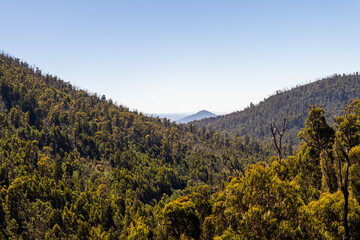 View from Steavenson Falls precinct. Marysville, Australia