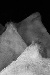 Jorobas camellos dromedarios