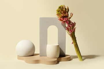 Podiums with beautiful flowers on beige background. Hello spring