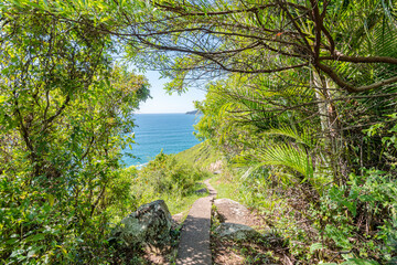 O olho aberto para o mar. Uma trilha na praia da solidão em Florianópolis. Verde da vegetação e azul do mar.