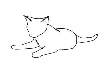 continuous line drawing of cute long haired kitten