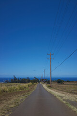 Fototapeta premium road in the countryside
