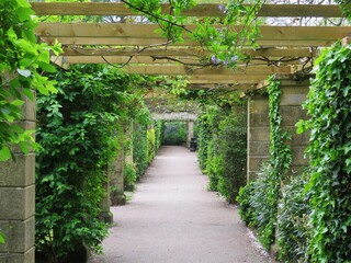 walkway in the garden with arches 