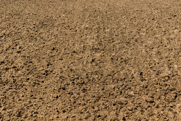 Close up of soil surface or fertilizer being handled for rice field farming.