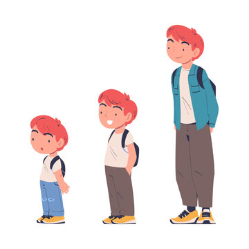 Cute boy from kid to teenager. Preschool, elementary school, secondary schoolboy cartoon vector illustration