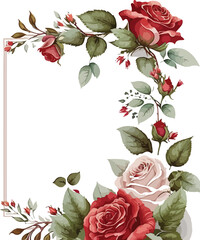 roses on white background