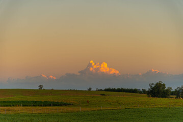 Fototapeta premium Dusk in the landscape of the pampa biome