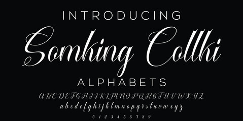 Fototapeta na wymiar Signature Font Calligraphy Logotype Script Brush Font Type Font lettering handwritten