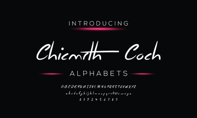 Signature Font Calligraphy Logotype Script Brush Font Type Font lettering handwritten