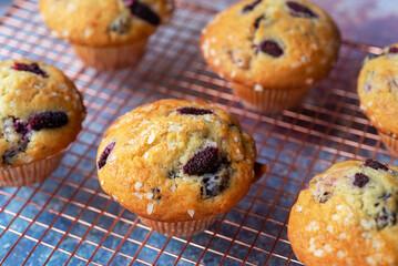 freshly baked homemade mulberry muffins cooling on rack.