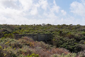 Views while hiking in Montana de Oro State Park. Some of those views are the rocky coastline,...